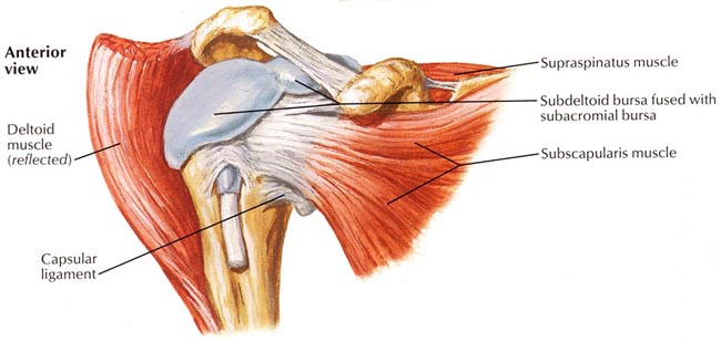 shoulder-arthroscopy